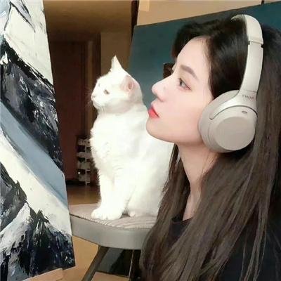 迷失的大洲